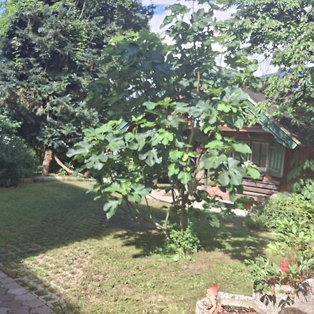 LieserbrückeGanzes Haus Mit Almcharakter别墅 外观 照片