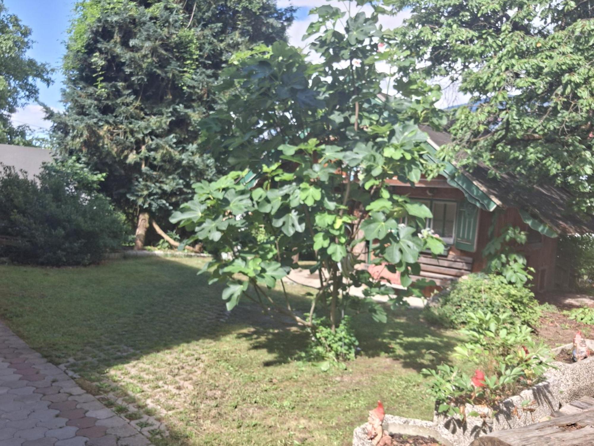 LieserbrückeGanzes Haus Mit Almcharakter别墅 外观 照片